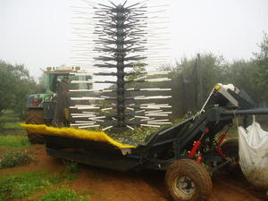 A Máquina de Colheita em Contínuo de Azeitona é uma solução inovadora, desenvolvida com o objetivo de permitir a implementação da colheita contínua de azeitona nos olivais intensivos, em alternativa […]